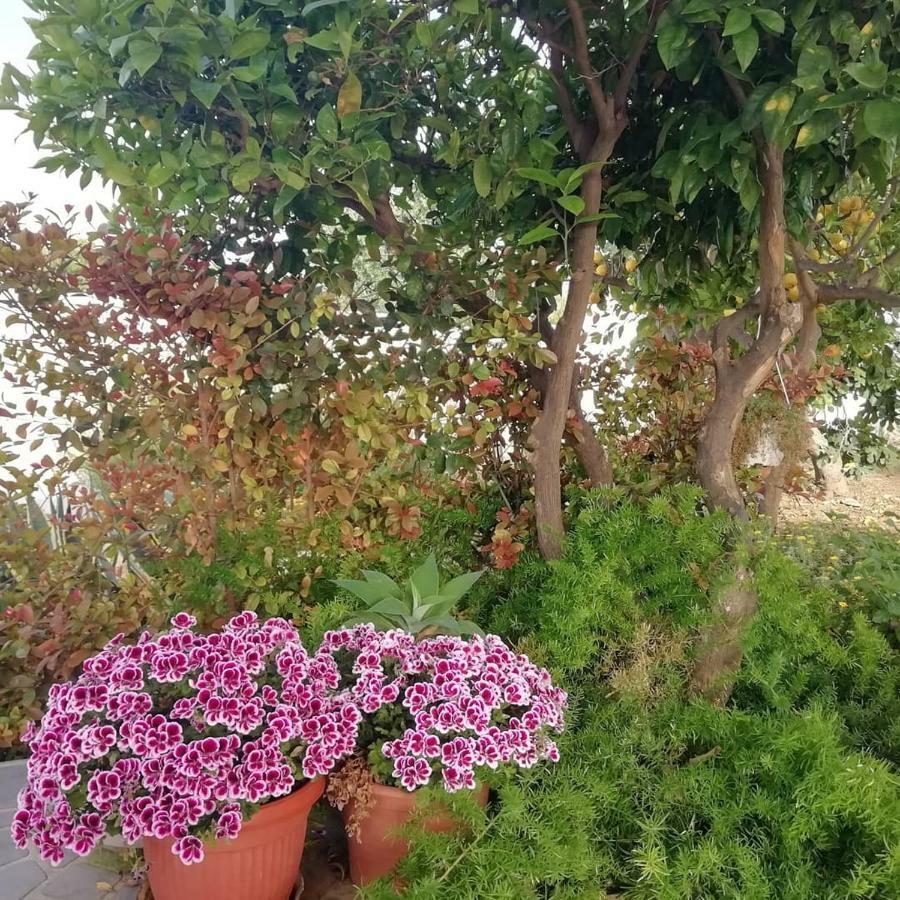 Home Scala Dei Turchi B&B Realmonte Exterior foto